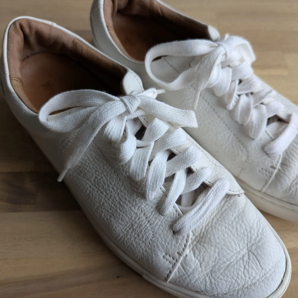 FRYE Ivy Low Lace Sneakers (Women's‎ size 9)